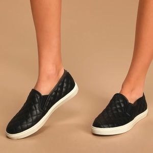 Steve Madden ECENTRCQ BLACK sneakers
